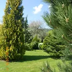 Ogrod