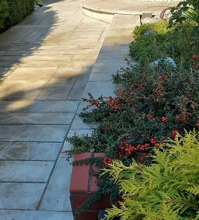Ogrod Farma Scinawka Srednia