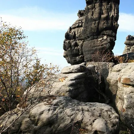 Ogród Scinawka Srednia