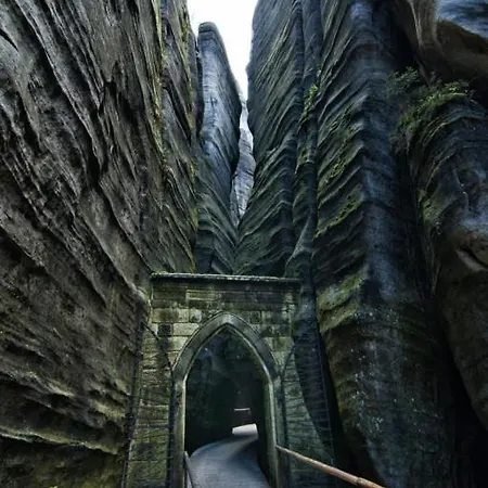 Ogrod Lantgård Scinawka Srednia