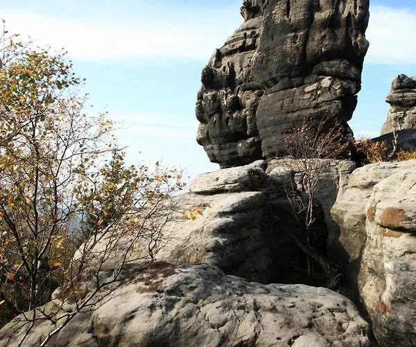 Ogrod Scinawka Srednia