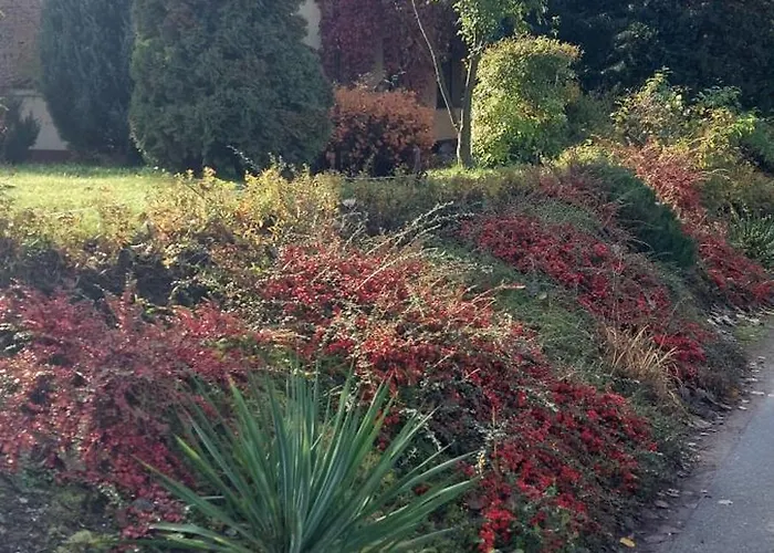 Ogród * Scinawka Srednia