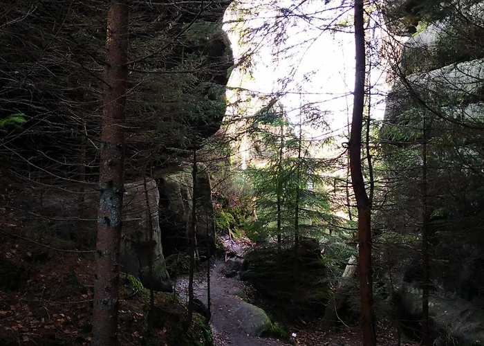 Gospodarstwo agroturystyczne Ogród *